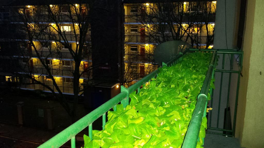 Apartmán Chadswell House Londýn Pokoj fotografie